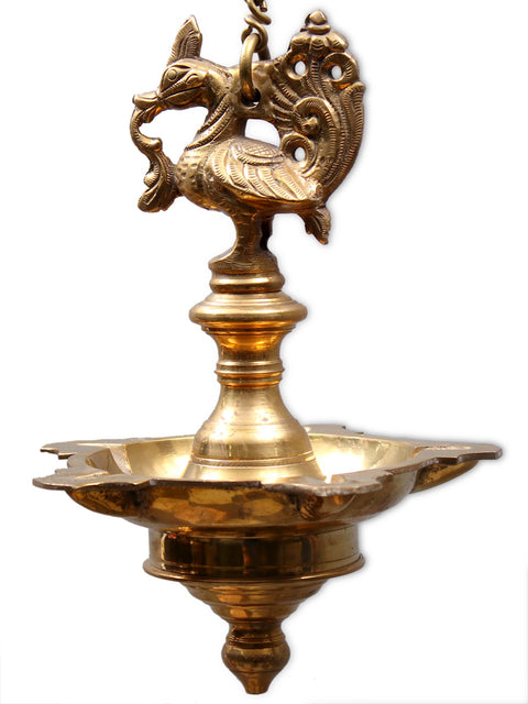 20" Brass Parrot Bracket with Five Wicks Hanging  Lamp