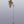 30" Brass Parrot Wall Bracket with Temple Bell