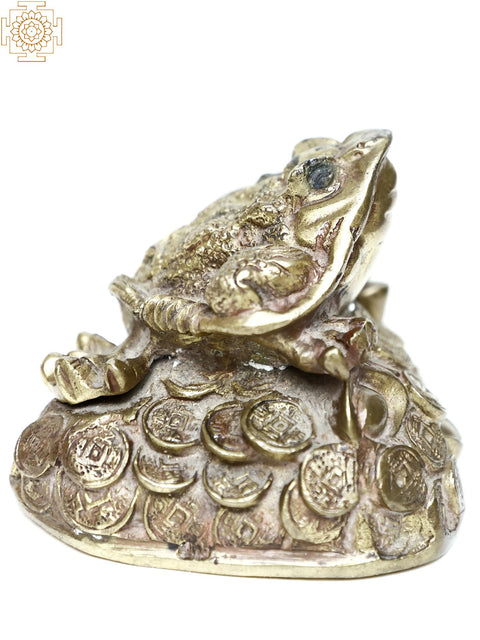 Brass Golden Frog Paper Weight