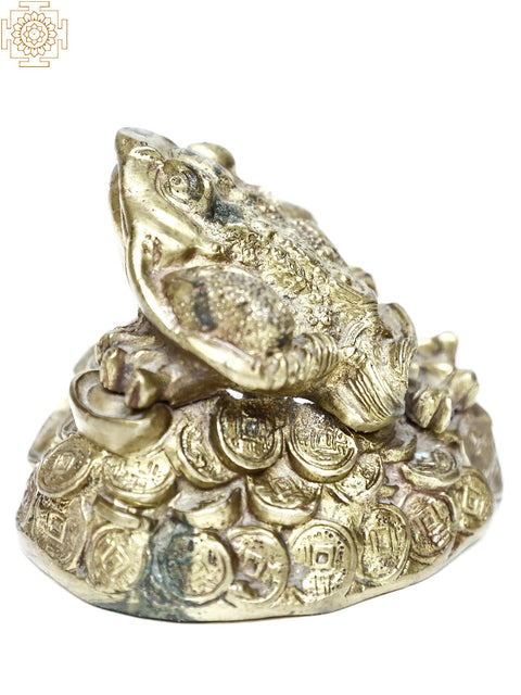 Brass Golden Frog Paper Weight