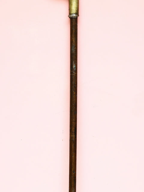 Brass with Copper Cane with Lion Handle