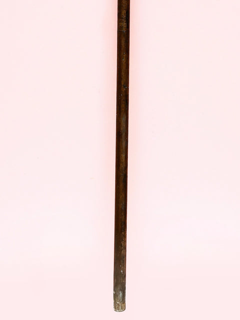 Brass with Copper Cane with Lion Handle