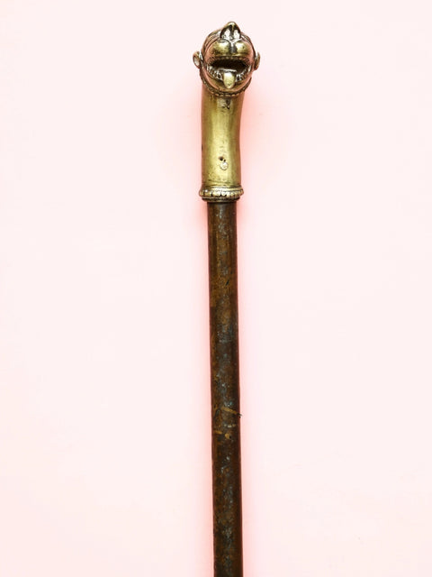 Brass with Copper Cane with Lion Handle