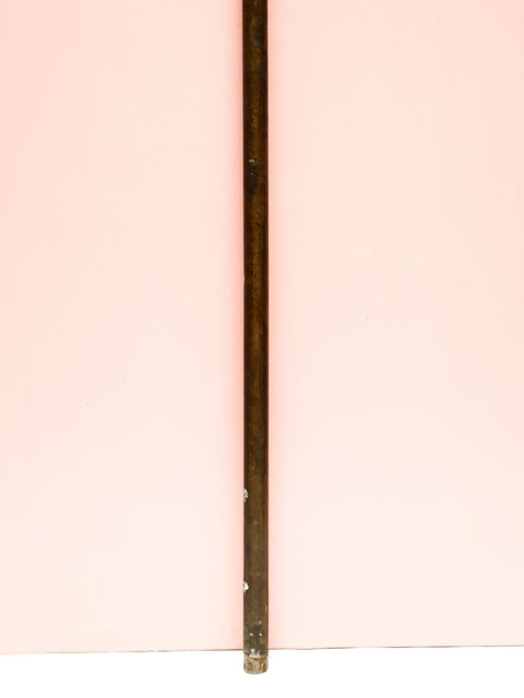 Cane with Double Eagle Handle (Brass with Copper)