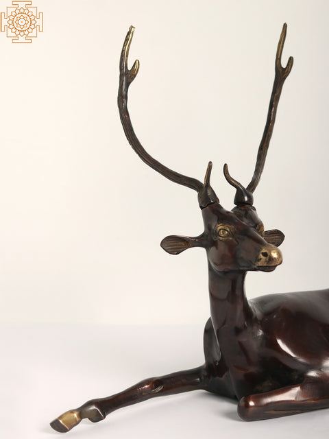 22" Seated Deer