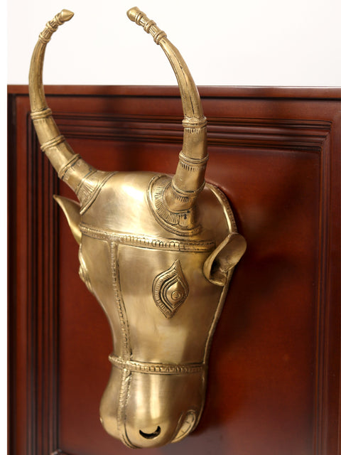 23" Bull Head in Brass | Wooden Wall Hanging Frame