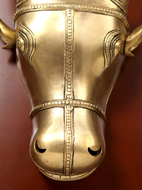 23" Bull Head in Brass | Wooden Wall Hanging Frame