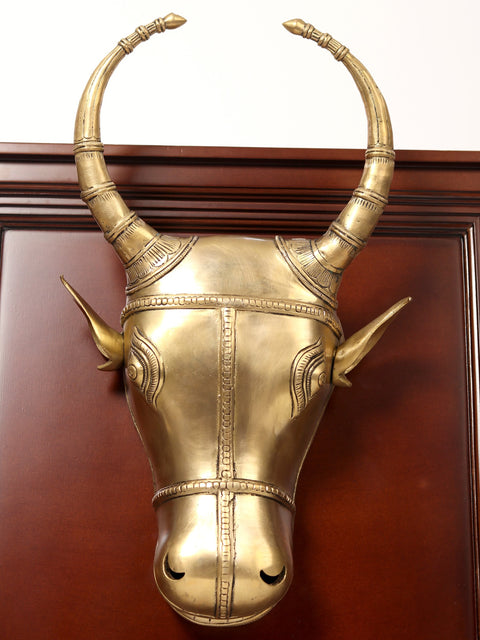 23" Bull Head in Brass | Wooden Wall Hanging Frame