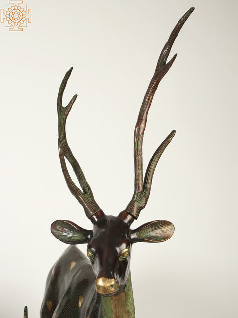63" Large Decorative Pair of Deer | Brass Statue