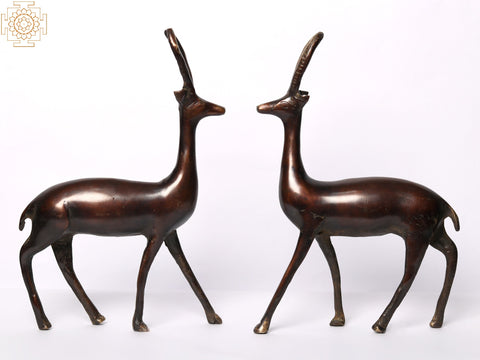 9" Brass Pair of Deer | Home Decor