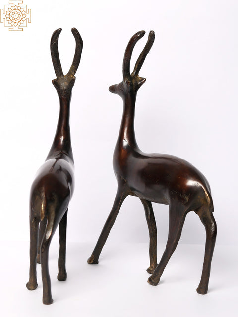 9" Brass Pair of Deer | Home Decor