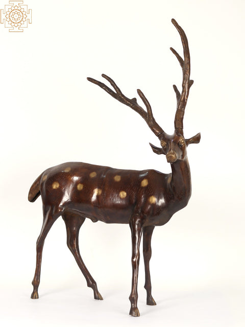 34" Large Pair of Deer and Antelope | Brass Statue