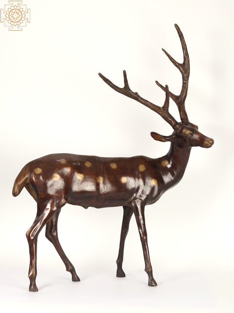 34" Large Pair of Deer and Antelope | Brass Statue