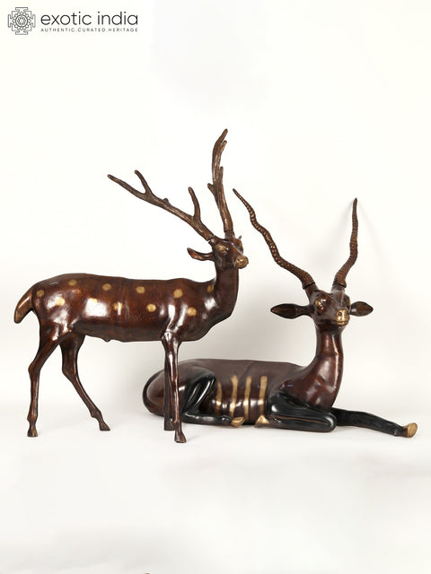 34" Large Pair of Deer and Antelope | Brass Statue