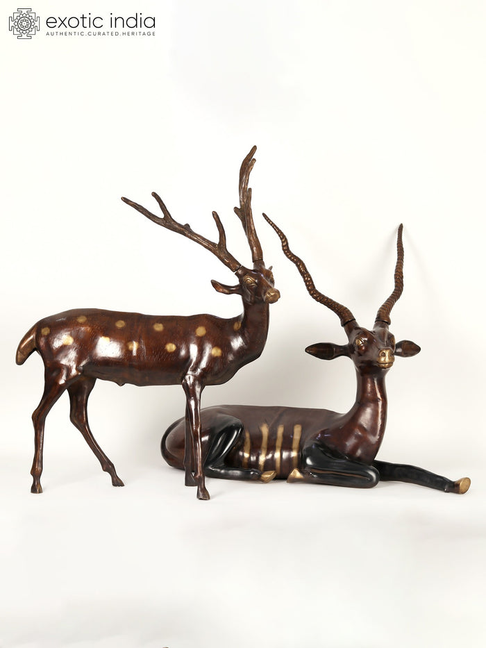 34" Large Pair of Deer and Antelope | Brass Statue