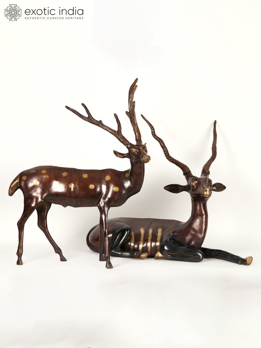 34" Large Pair of Deer and Antelope Brass Statue