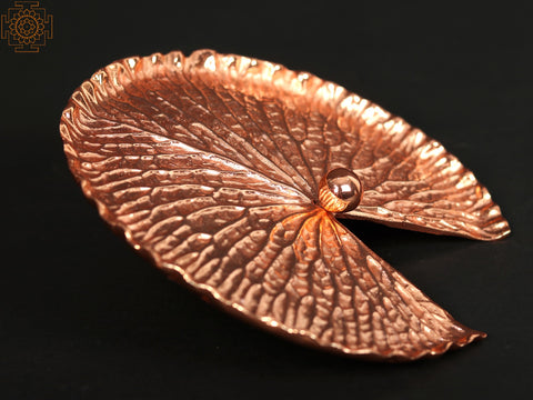 Rose Tinted Rose Leaf Wall Decor