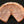 Rose Tinted Rose Leaf Wall Decor