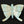 3" Hand-Painted Blue and Golden Butterfly | Wall Decor