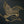 Brass Swan | Wall Hanging