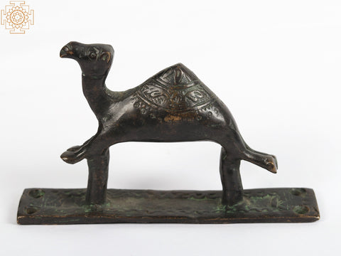 5" Brass Camel Door Handle