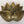5" Wall Decor Lotus in Brass