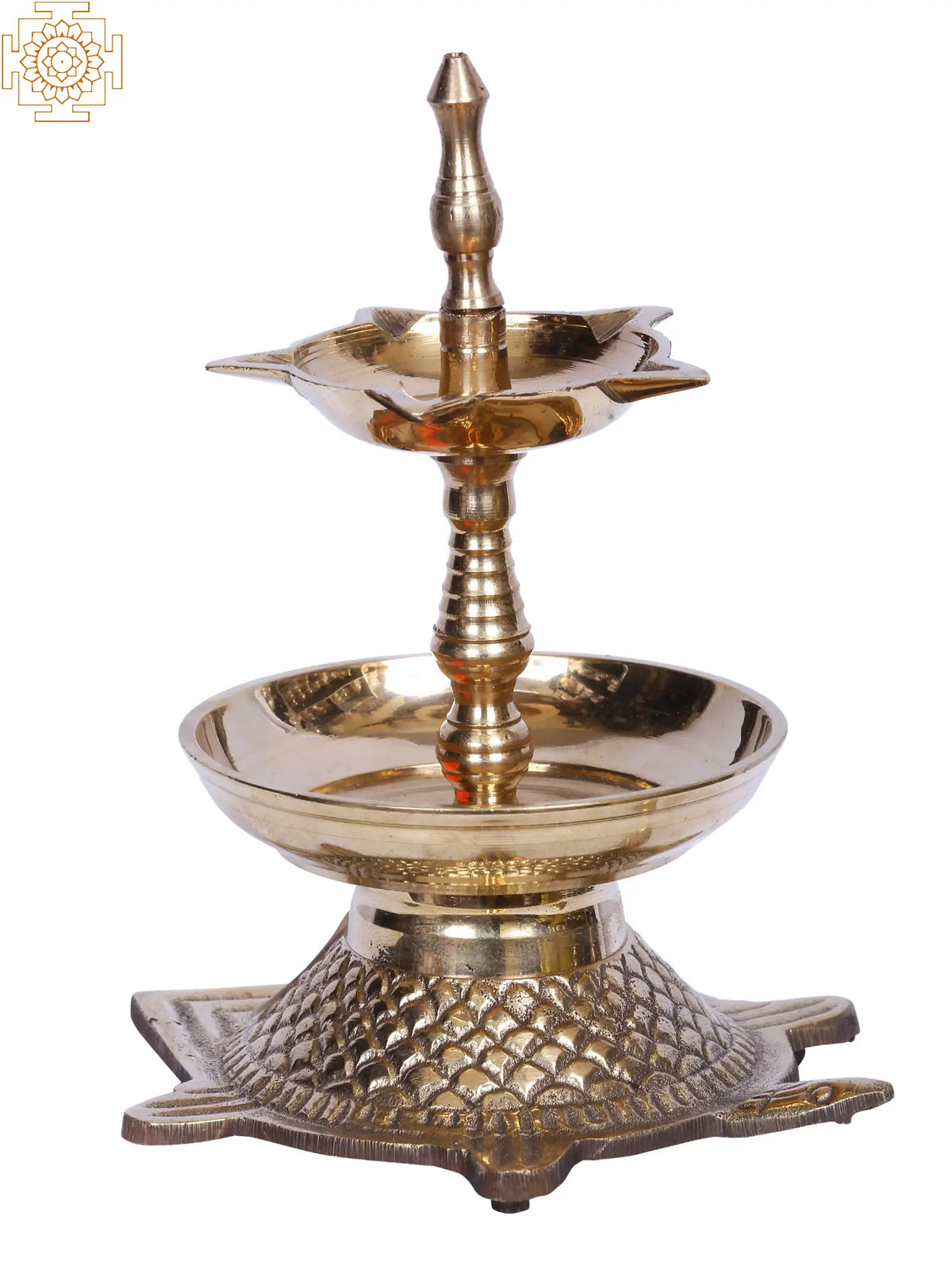6" Brass Five Wicks Lamp on Tortoise