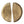 10" Brass Leaf Design Door Handle (Pair)