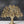 15" Brass Tree of Life