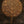 60" Large Brass Tree Of Life With Lamps | Brass