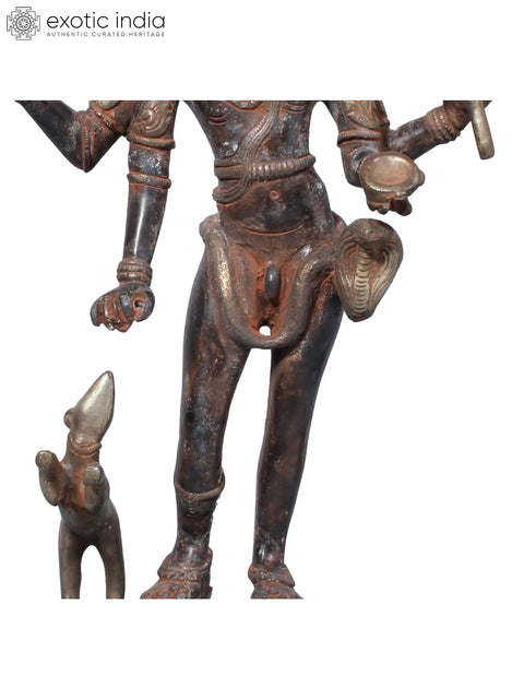 14" Bhairava Shiva in Brass