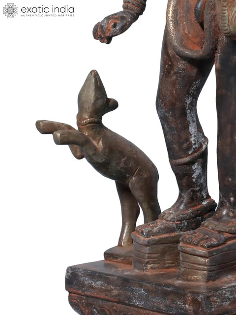 14" Bhairava Shiva in Brass