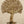 44" Large Brass Tree of Life with Butterflies | Wall Hanging