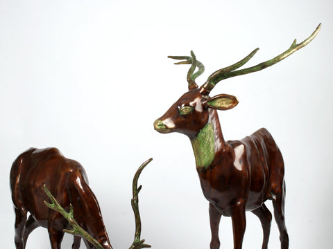 Two Grazing Deers