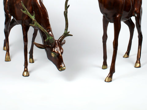 Two Grazing Deers