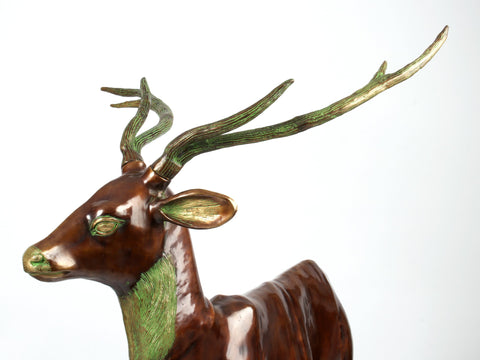 Two Grazing Deers