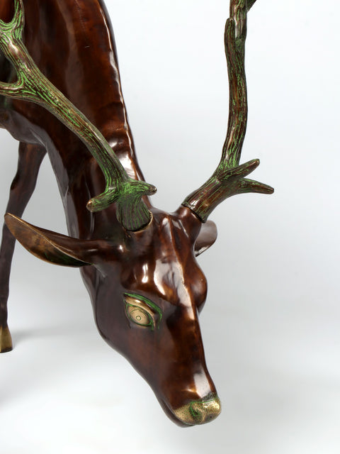 Two Grazing Deers