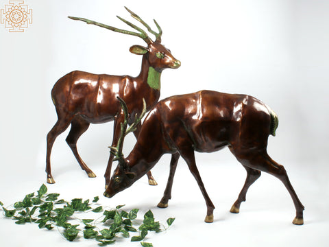Two Grazing Deers