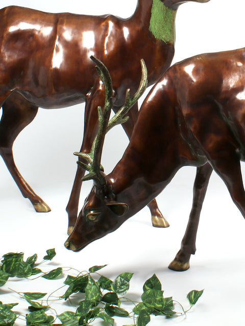 Two Grazing Deers