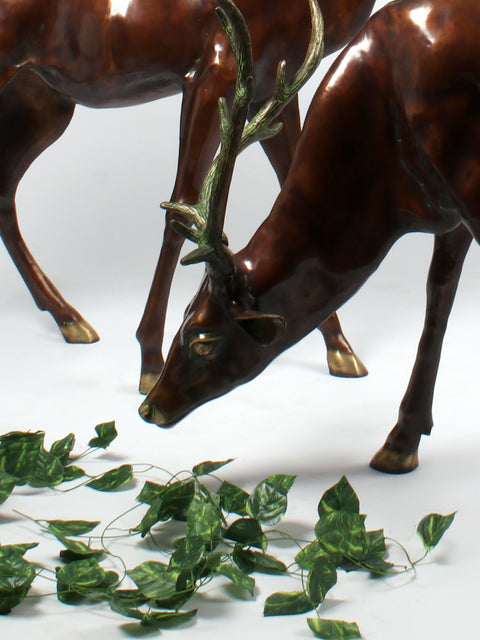 Two Grazing Deers