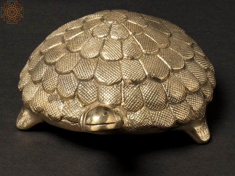 9" Protective Spherical Shell Brass Tortoise