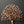 12'' Tree Of Life Wall Hanging | Brass