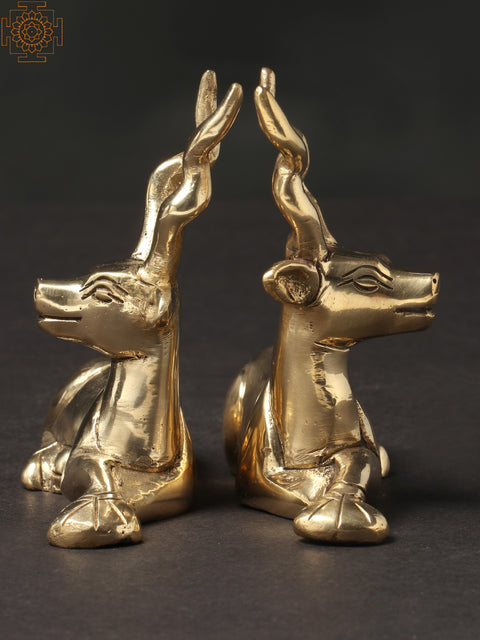 3" Pair of Cute Deer in Brass | Home Decor