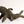 11" Brass Koi Fish Figurine | Designer Showpiece