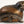 4" Small Frog Figurine in Brass