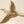 13" Flying Crane Bird in Brass (Wall Hanging)