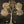 74" Super Large Brass Tree of Life with Five Different Leaves Design | Wall Mounted