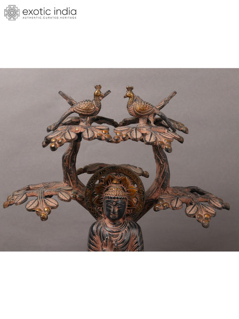 12" Brass Lord Buddha Seated Under The Bodhi Tree