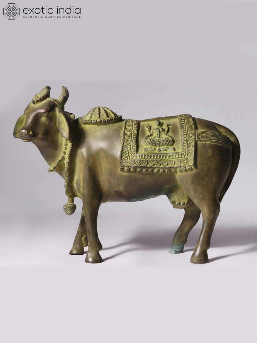 11" Kamadhenu Cow Brass Statue for Home Decor