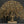 34" Large Tree of Life with Perched Birds in Brass